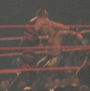 kane_jericho5.jpg